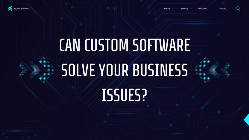 Can Custom Software Solve Your Business Issues?
