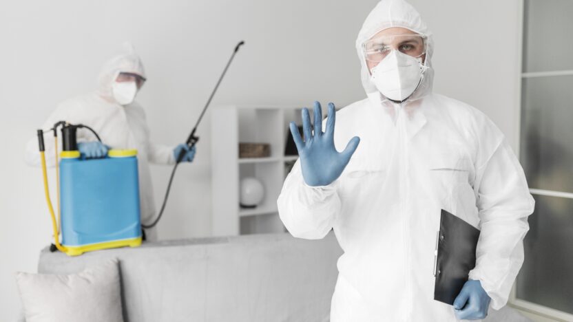 SEO Company for Pest Control