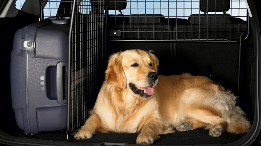 pet relocation services