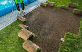 sod installation in frisco